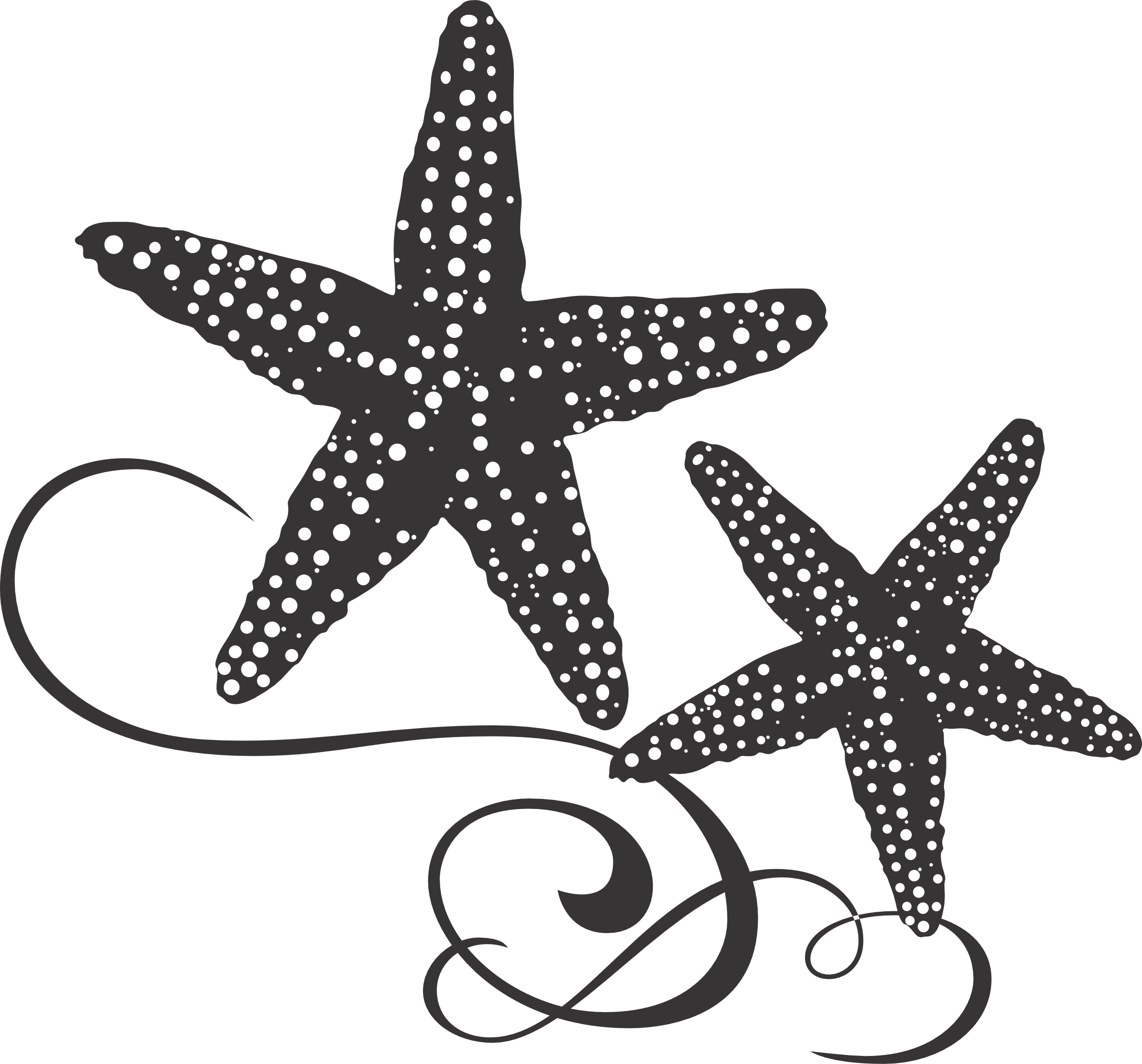 Starfish 2