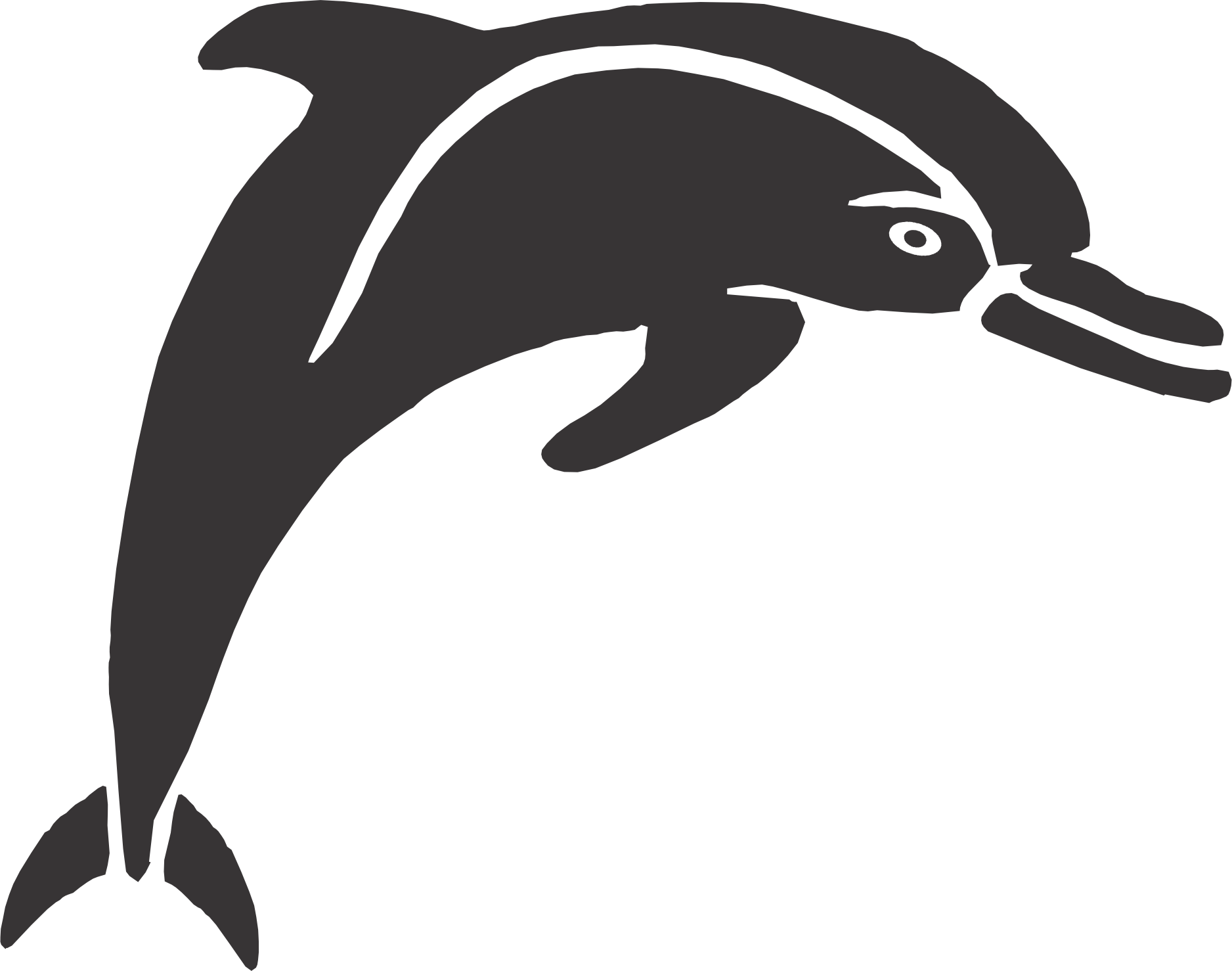 Dolphin 1