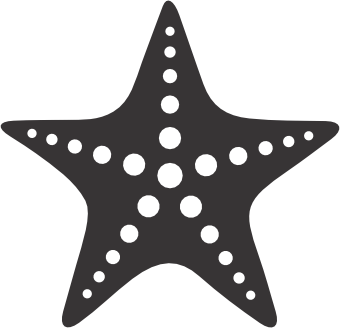 Starfish 1