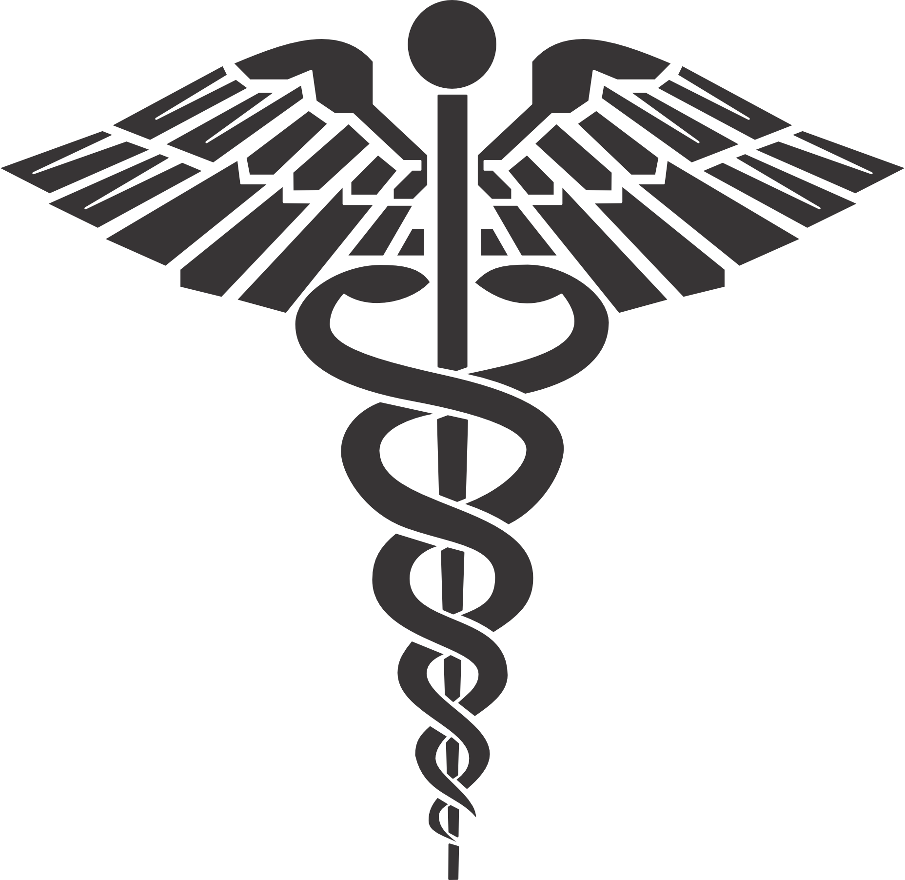 Caduceus 2